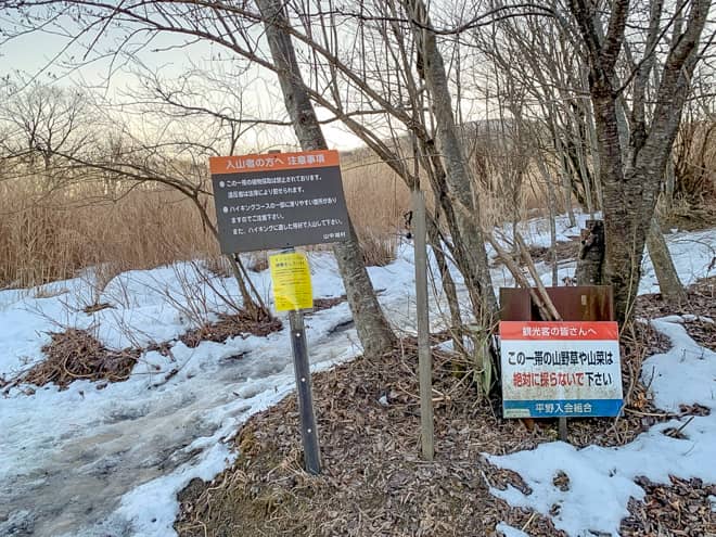 登山口は大変判り易く