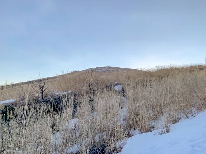 目の前には「鉄砲木の頭」が見えます