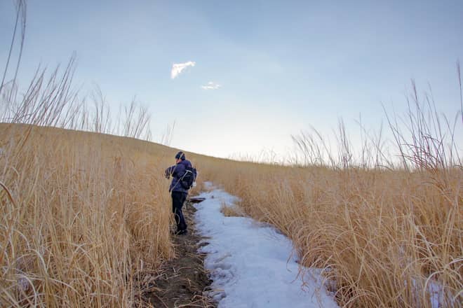 秋はススキが美しい