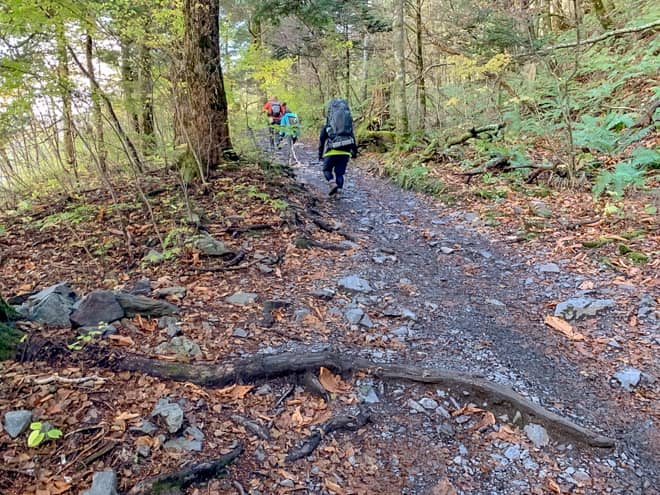 道は本格的な登山道といった感じですが