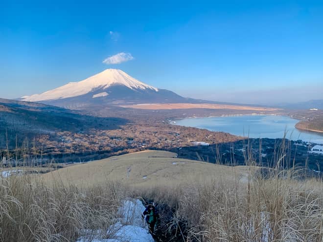 鉄砲木の頭には周りを遮る木々が殆どなく