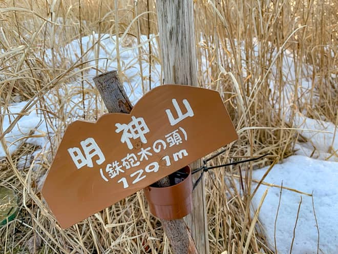 鉄砲木の頭に登ってみてわかったこと