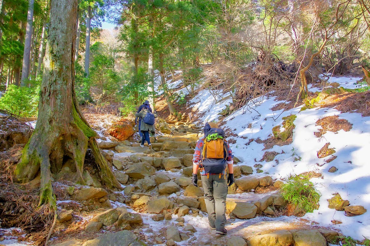 高尾山の次に登る山でおなじみの 大山 は初心者向きではない 話題のルーメソを食しに丹沢へ キャンプクエスト