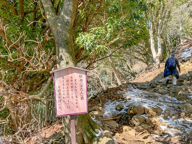 14丁目にある牡丹岩は