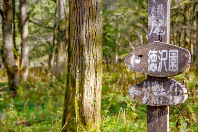 3.河童橋から徳澤・横尾を歩く本格的なトレッキングコース