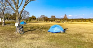 野田市スポーツ公園キャンプエリア詳細｜お花見デイキャンプにぴったりの芝生広場を紹介