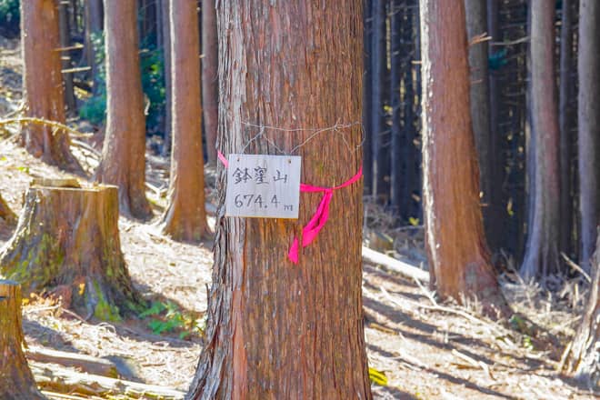 こちらが鉢窪山山頂です