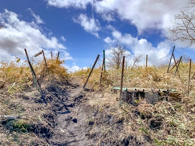 この先は登りは殆ど無くなり、いきなり景色が開けますよ