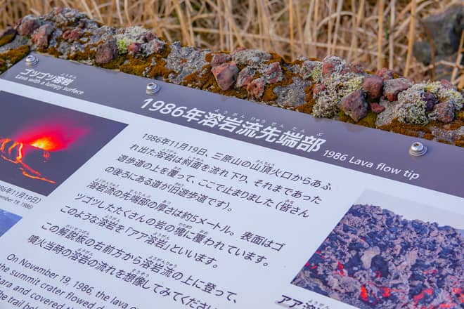 この場所は1986年の三原山噴火の際に流れ出た溶岩の先端部で