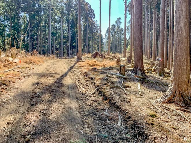 しかし進めど進めど