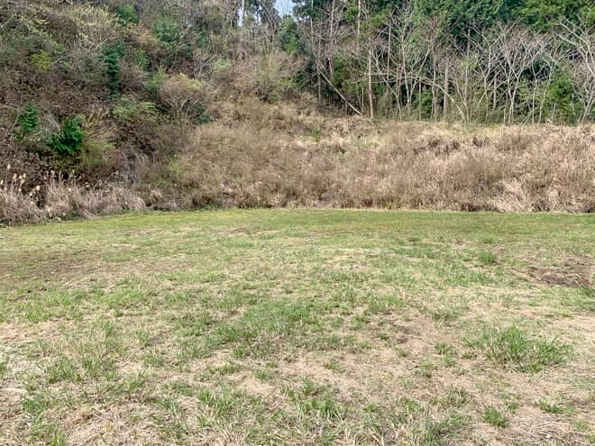 キャンプ場全体のサイトの地面の特徴