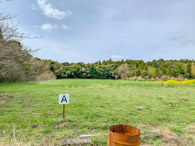 サウスヒルで最も人気なのは