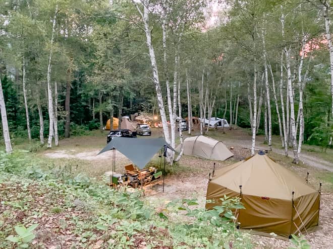 フリーサイトと区画サイト。どちらがオススメ?