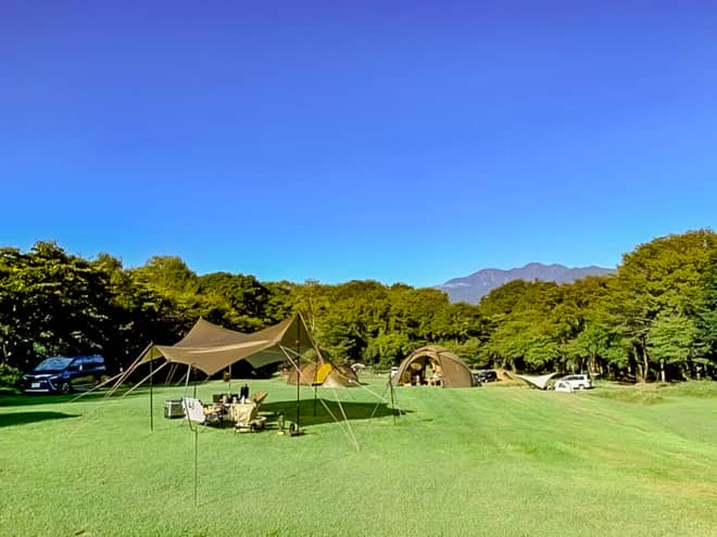 フリーサイトのメリット