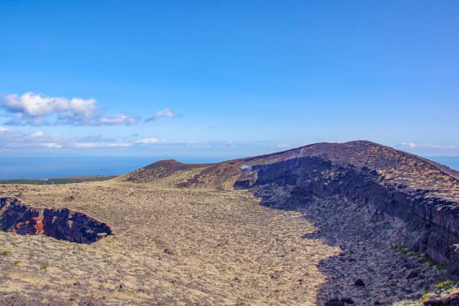 三原山は草木が殆ど育たない環境なので
