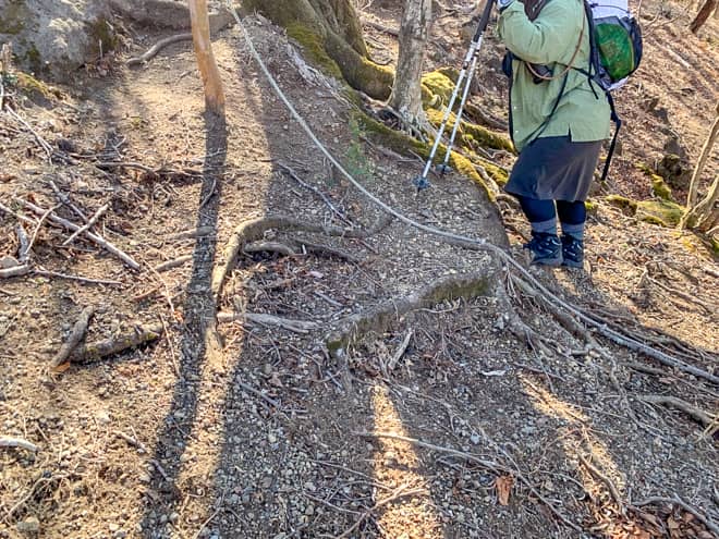 中盤にロープが設置された急登ポイント