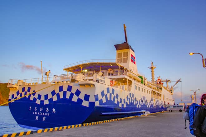 伊豆大島到着→急いでバス停へ