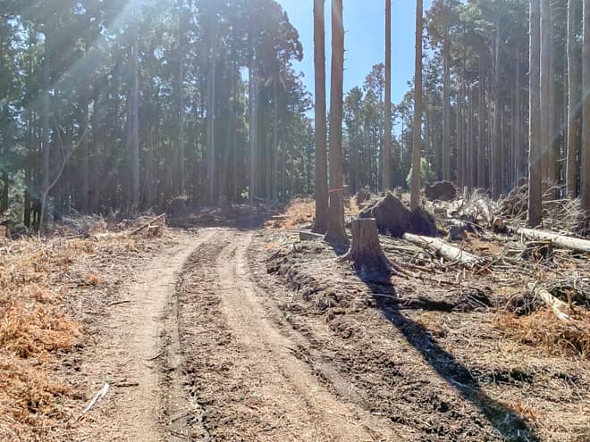 元々は森林整備のために作られた道で