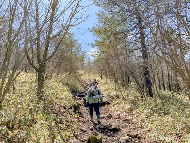 前半は約1キロの距離で標高を200メートルあげます
