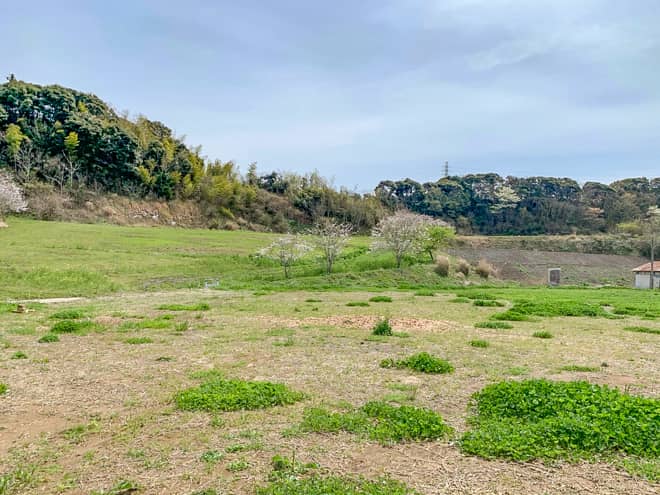 区画の広さがが斜め上を行く広大さ