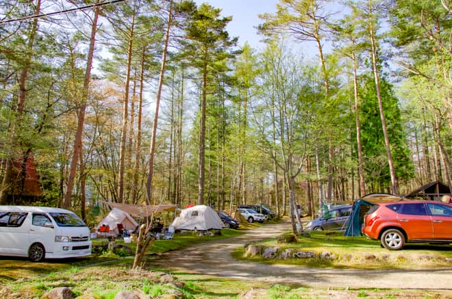 区画サイトはテントを設営できる場所や面積