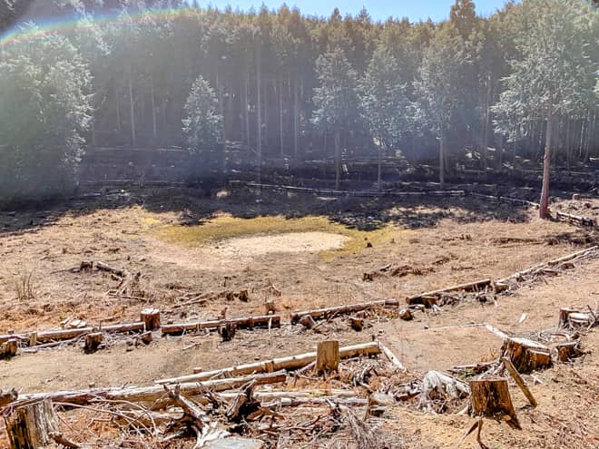 噴火口跡を周回できるように登山道が整備されているので