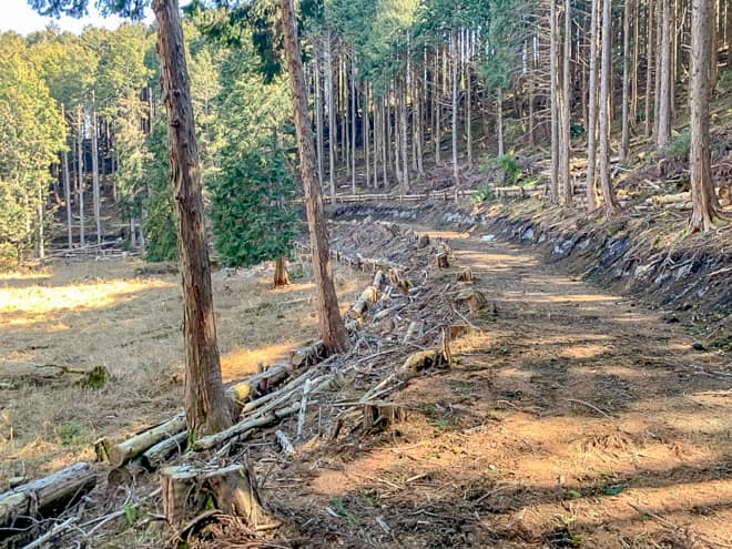 噴火口跡を周回できる道