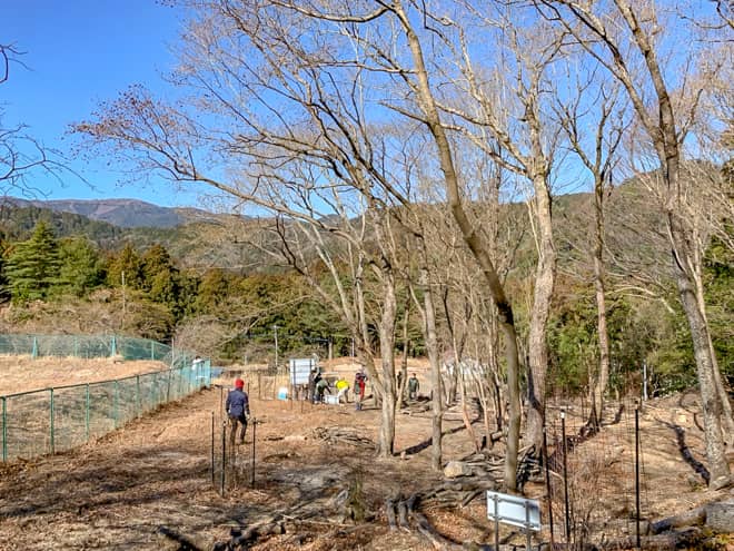 天城越えで有名な「浄蓮の滝」とは対照的に