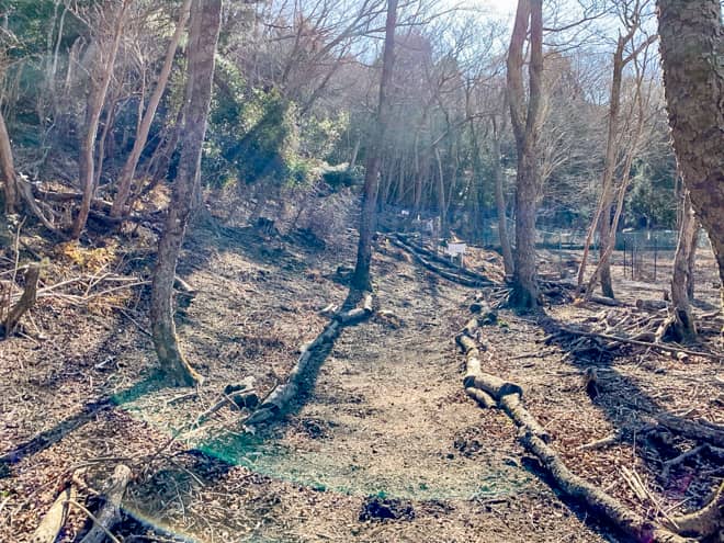 展望スペースを目指す