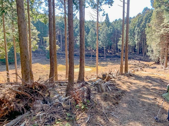 山頂から噴火口跡を目指す