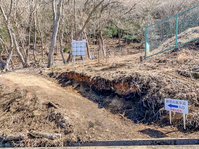 左手にはちくぼ遊歩道コースが見えました