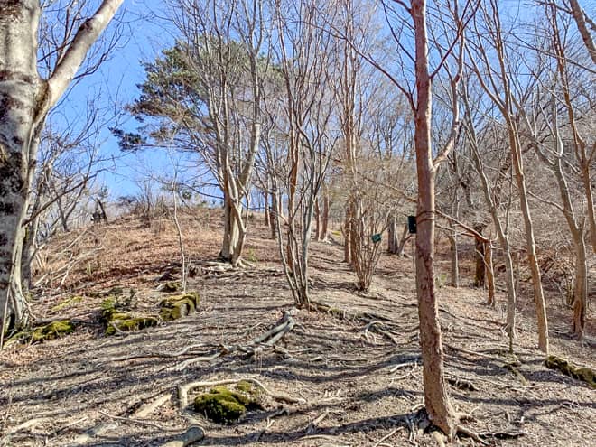 後半は広葉樹林に囲まれた見晴らしの良い登山道が続きます