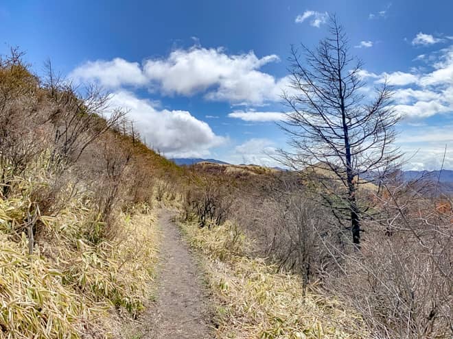 後半は約1キロの距離です