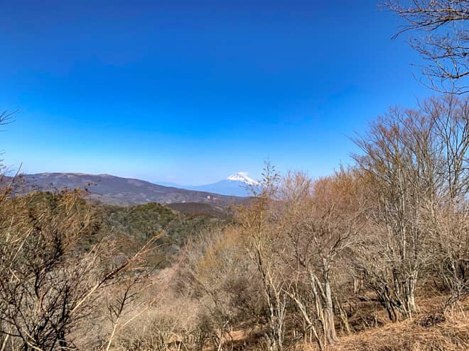 時折富士山が見え隠れする絶景ポイントもあり