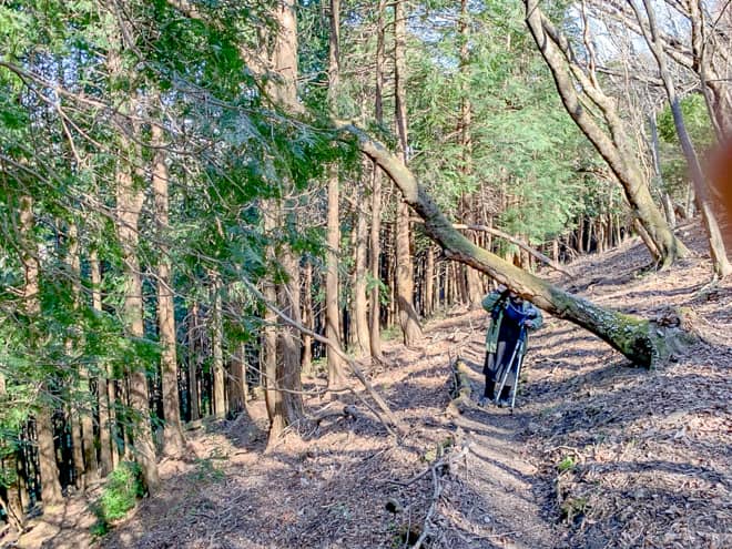 最短で山頂に行けるコースで