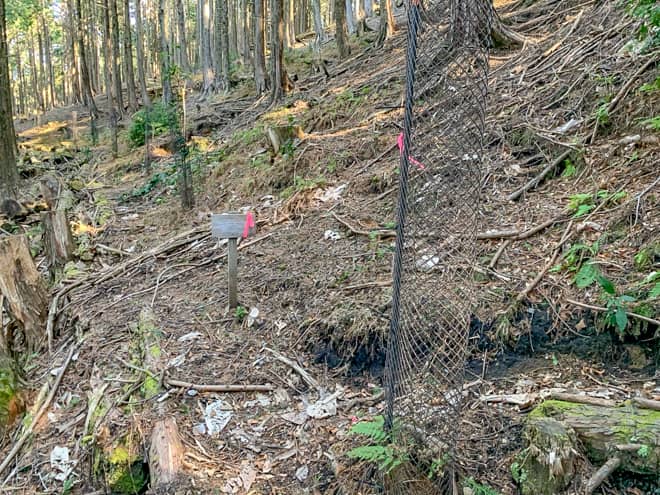 案内板も設置されているとはいえ