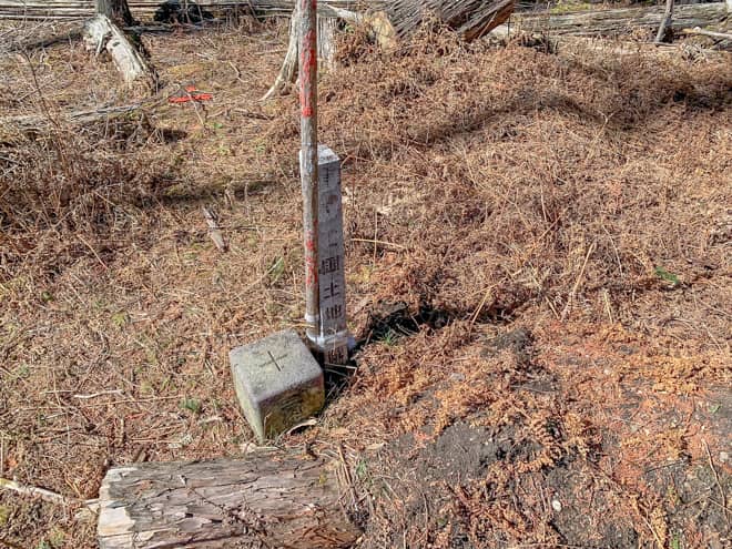 標識の傍には三角点がありました