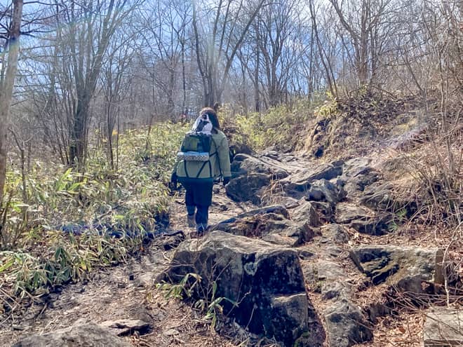 登山道は整備されて登り易いのですが