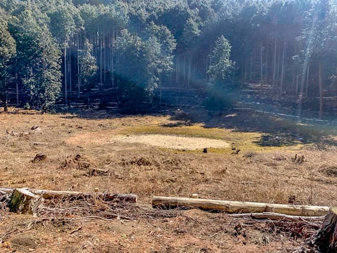 真ん中の白いサークルが噴火口跡のようです