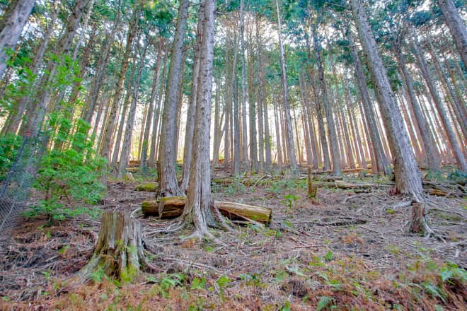 穴場だけど見どころ満載