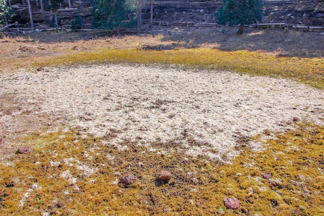 約1万7000年前の噴火で