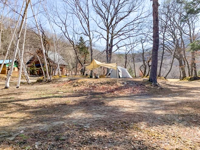 結局一番のオススメはどっちなの?