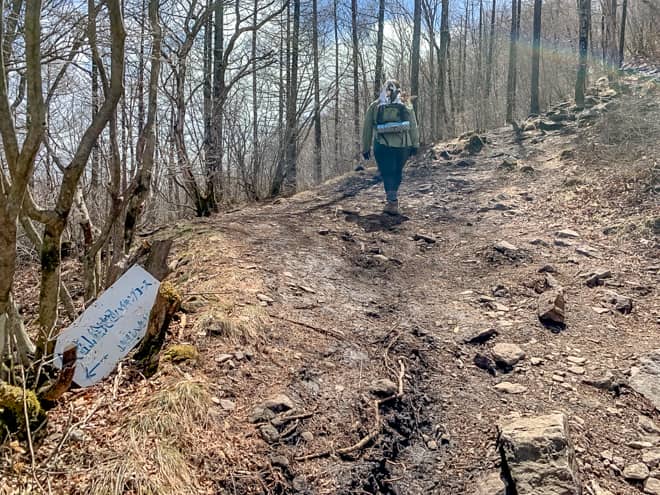 緩やかな道のりの後は