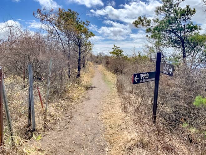 途中で、再び平沢山の分岐に到着します