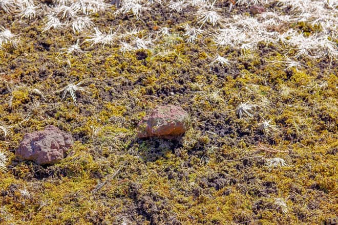 鉢窪山火口跡に残る「スコリア」と呼ばれる