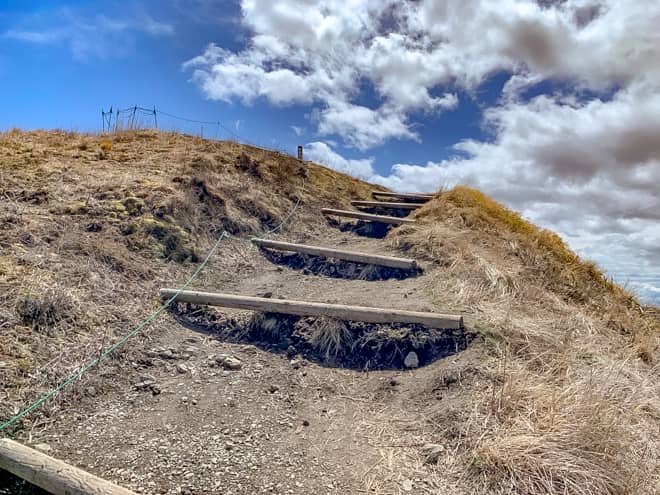 階段のような整備された道を登りきると