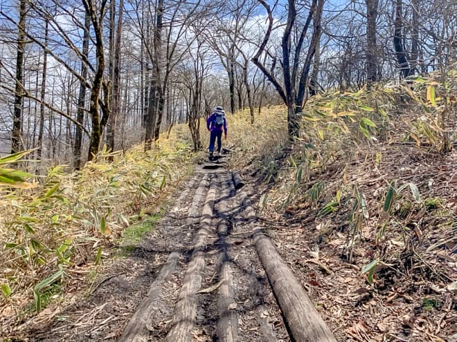 飯森山は、ひたすら登りが続くわけではなく