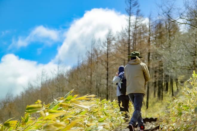 1.しし岩登山口（飯盛山登山口）から登頂する