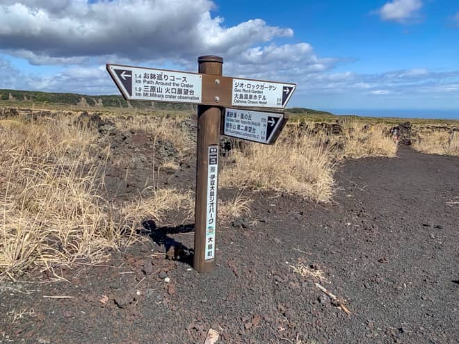 1.5キロほど歩くと分岐が現れます