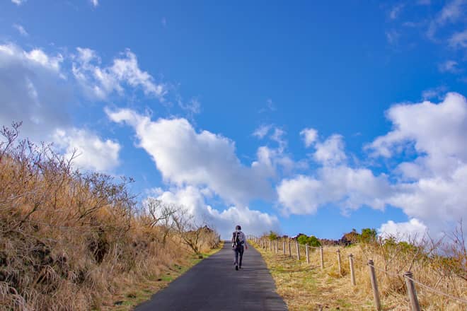 1986年溶岩流先端部→火山一周歩道